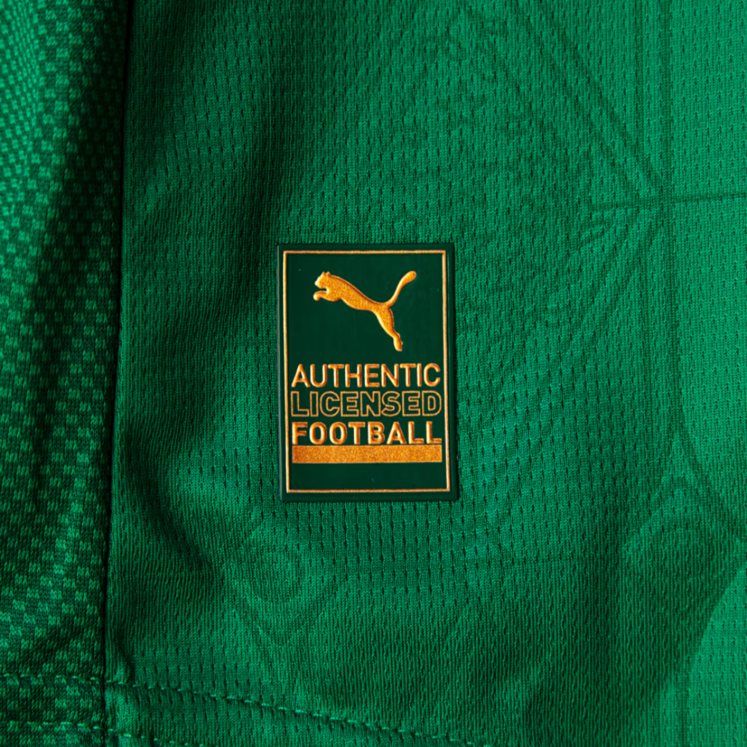 Camisa Puma Palmeiras 2025/26 I Jogador