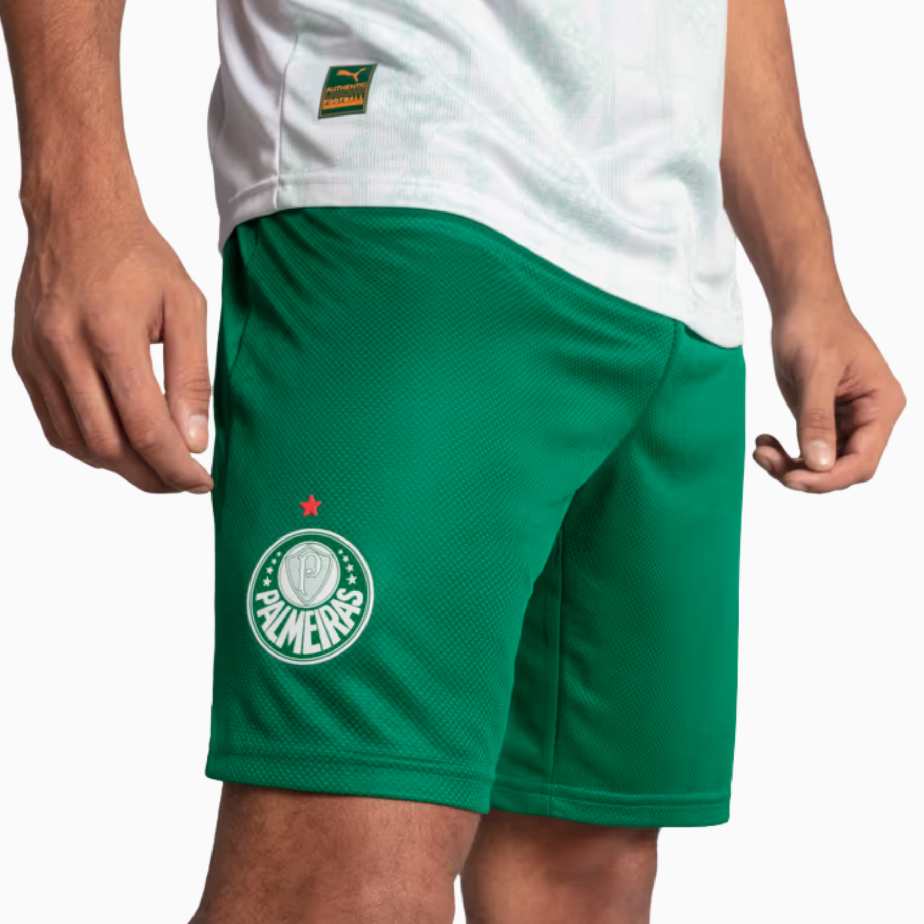 Shorts Palmeiras 2025 II – Torcedor