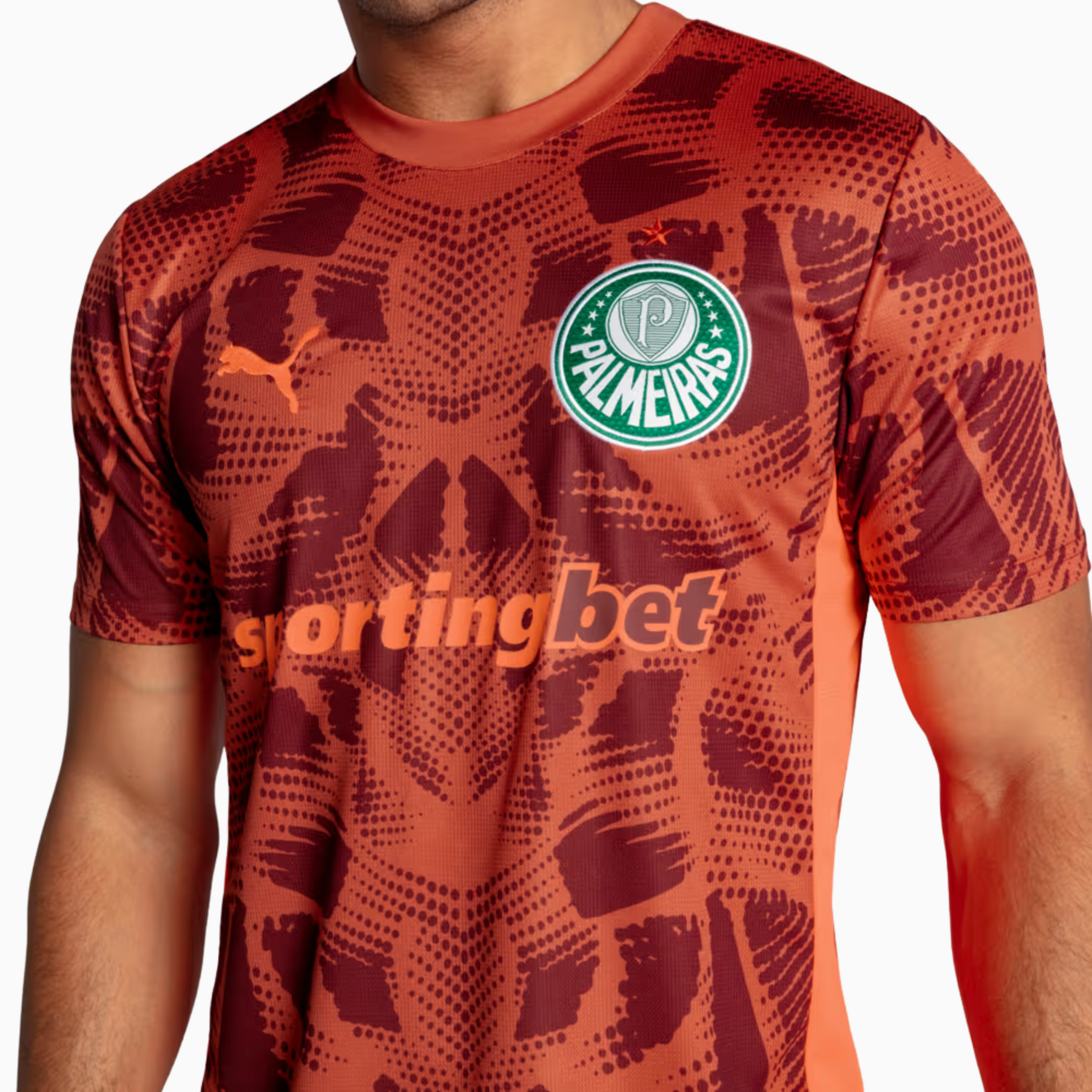 Camisa Goleiro Palmeiras 2025/26 II – Torcedor
