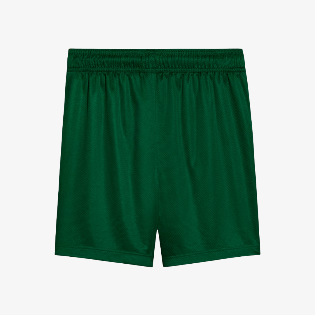 Conjunto Infantil Puma Palmeiras 2025/26 II