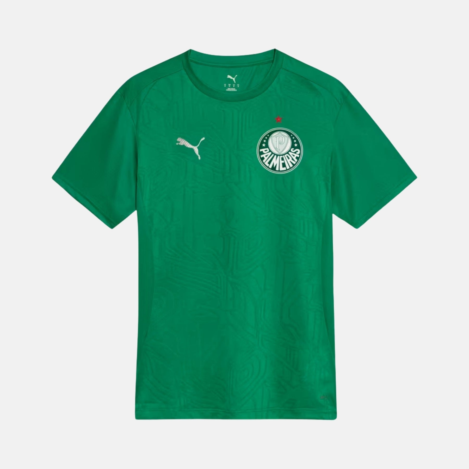 Camisa Palmeiras 2025 – Treino