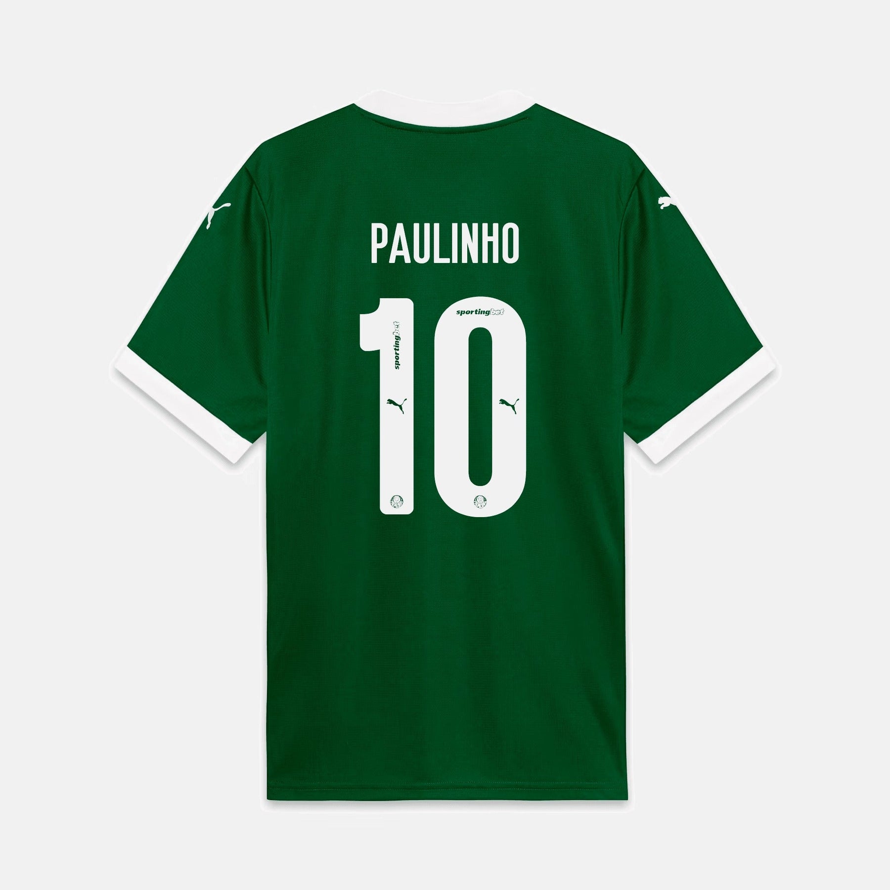 Camisa Puma Palmeiras 2025/26 I - Paulinho N° 10