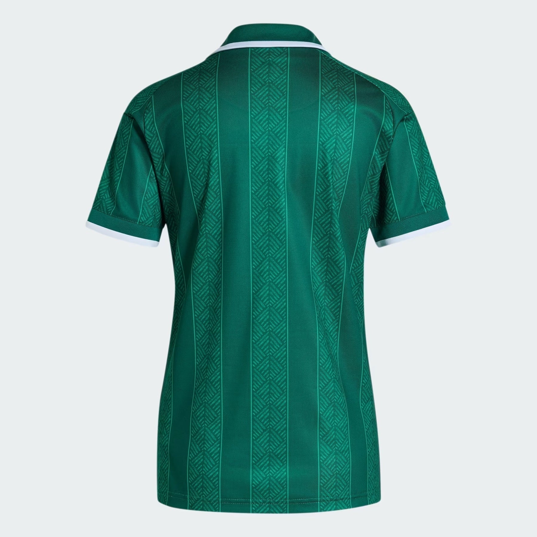 Camisa Feminina África do Sul 2026/27 I