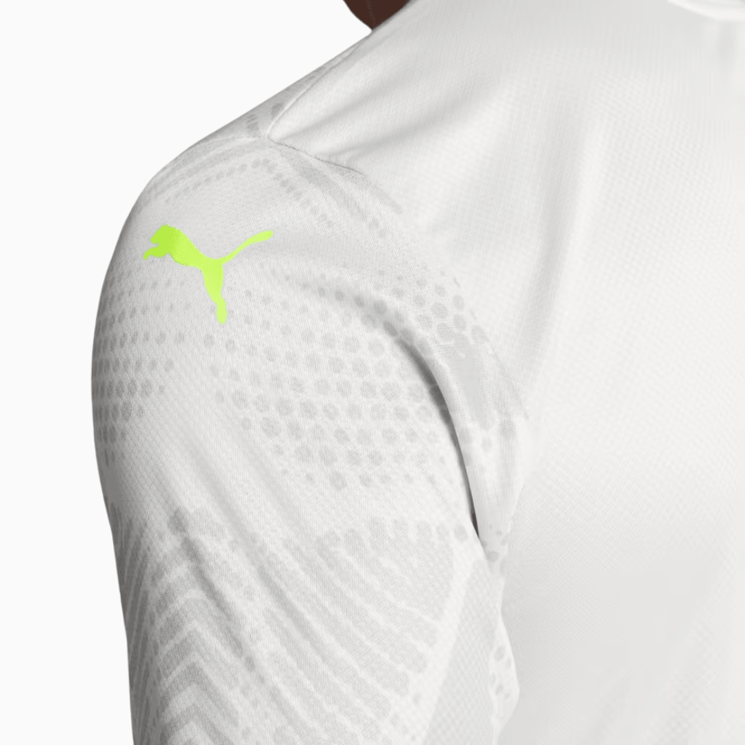 Camisa Goleiro Palmeiras 2025/26 III Jogador