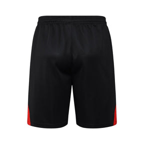 Kit de Treino adulto Bayern de Munique 2025/26 Short e Camisa