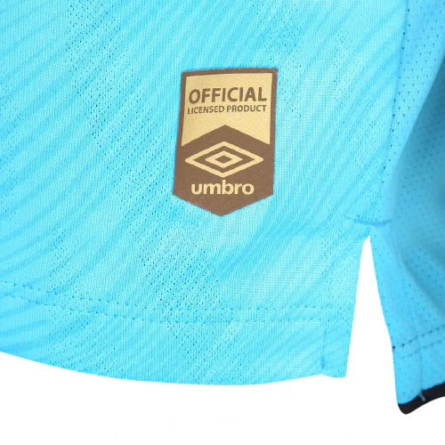 Camisa Peixão III 25/26 - Jogador Masculina