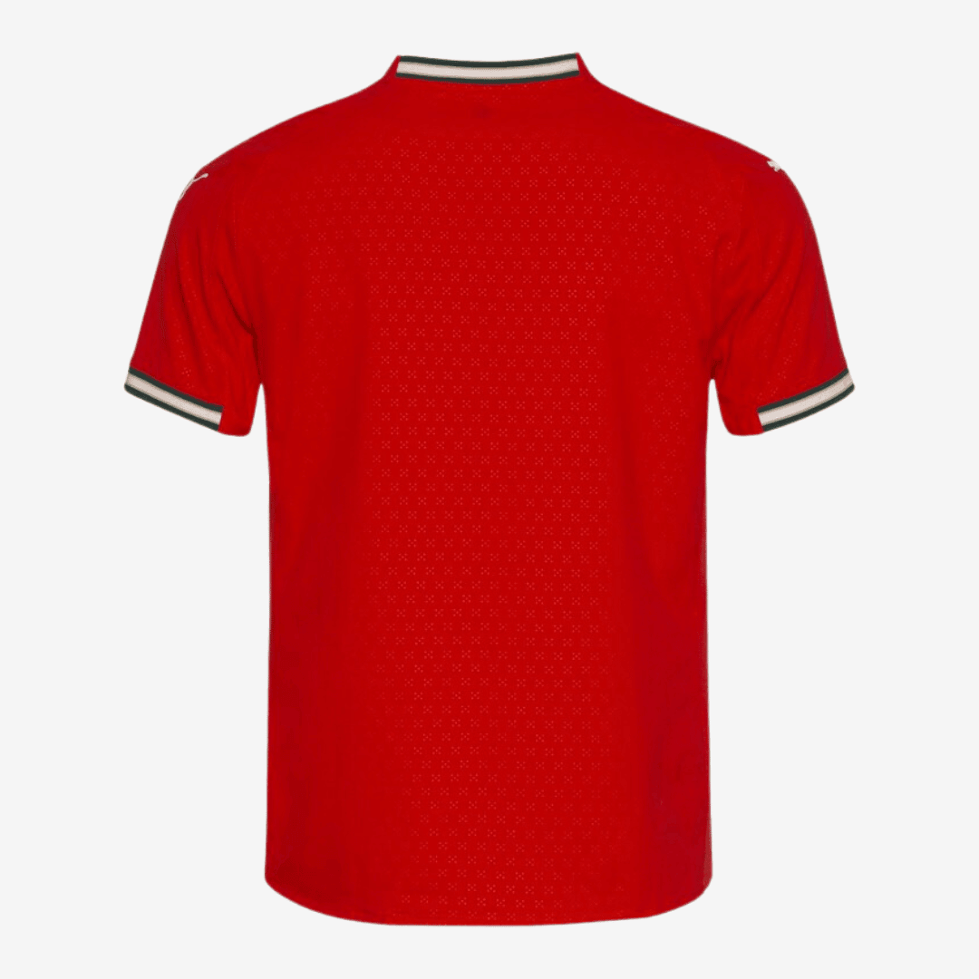 Camisa Puma Portugal 2025 I Jogador