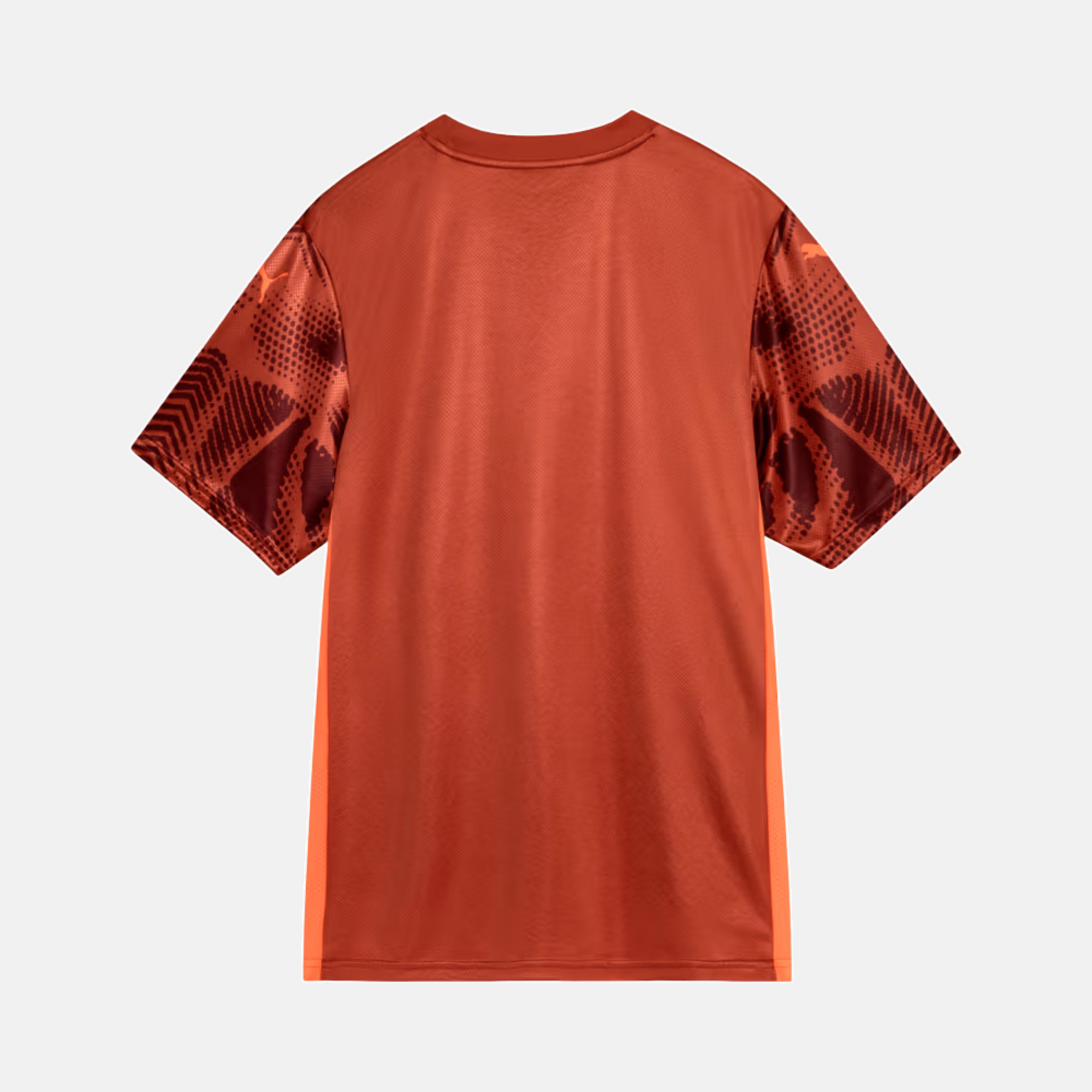 Camisa Goleiro Palmeiras 2025/26 II – Torcedor