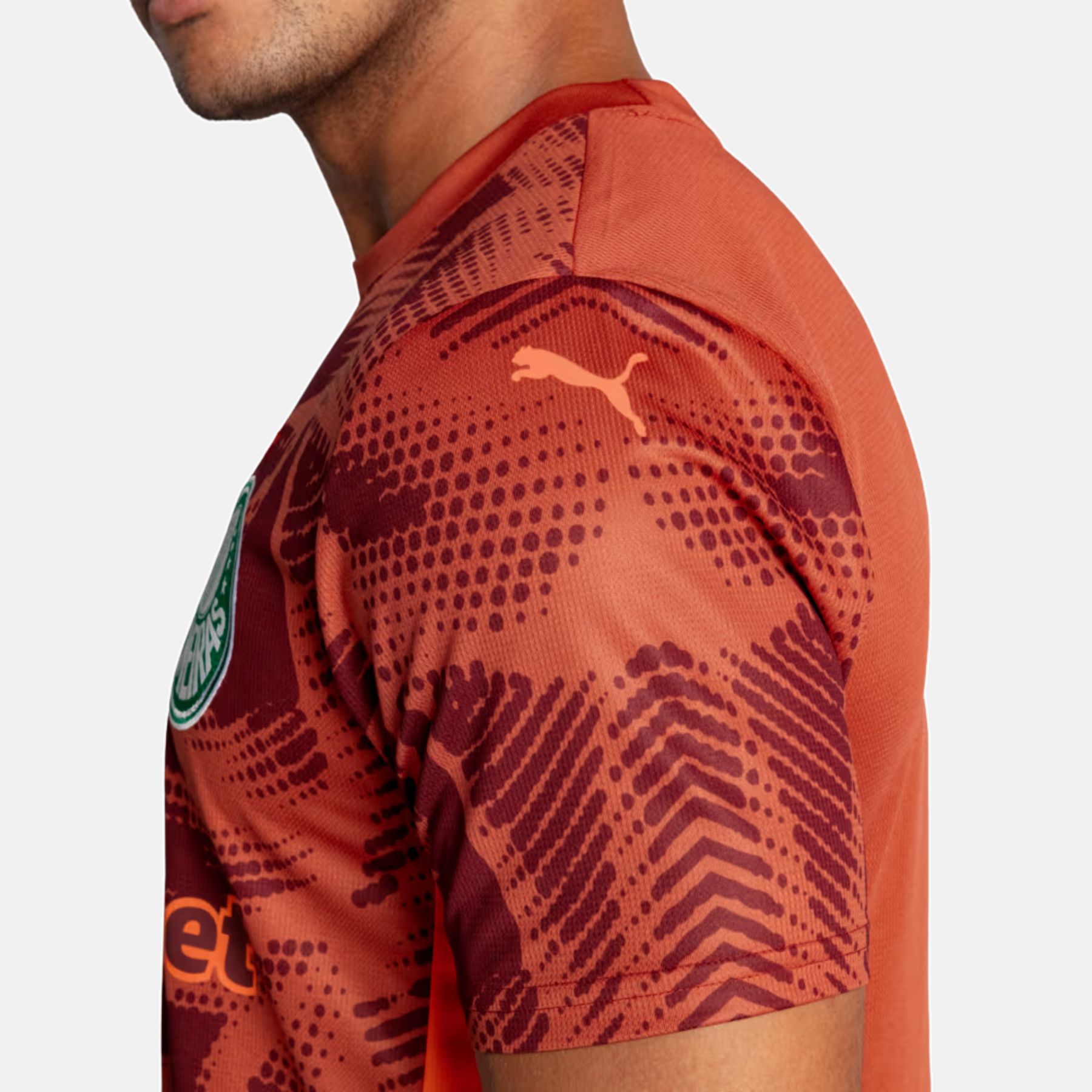 Camisa Goleiro Palmeiras 2025/26 II – Torcedor