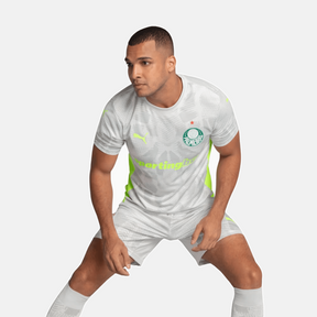 Camisa Goleiro Palmeiras 2025/26 III Jogador