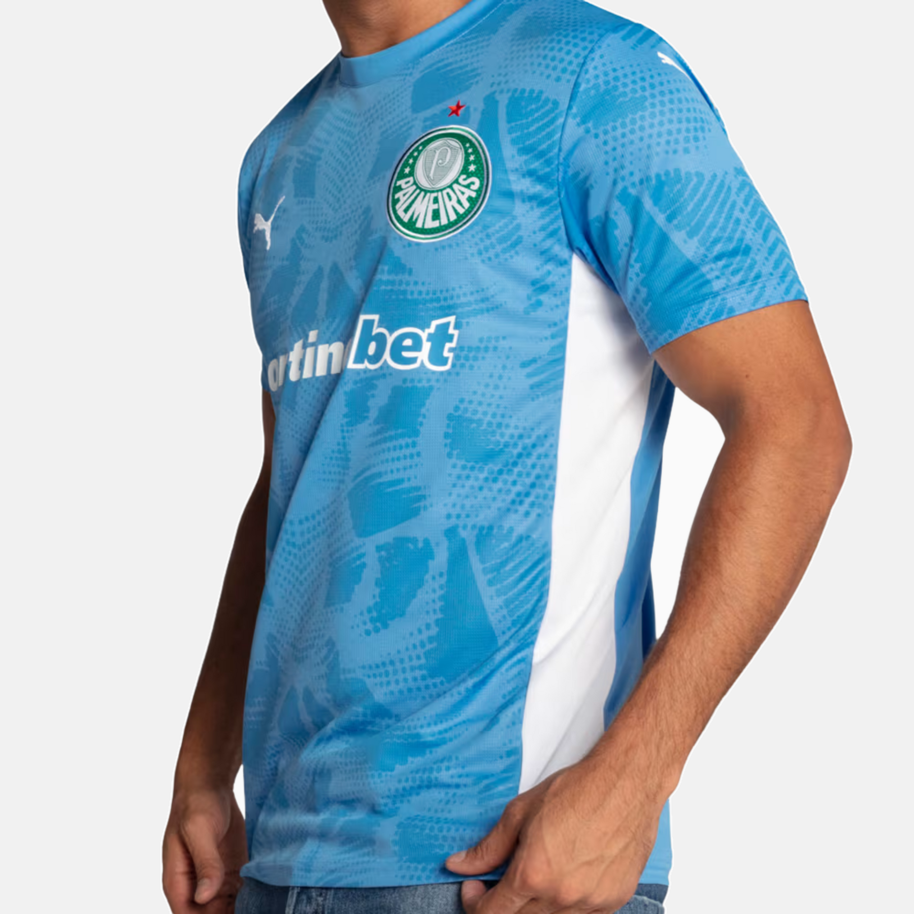 Camisa Goleiro Palmeiras 2025 I – Torcedor