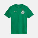 Camisa Palmeiras 2025 – Treino