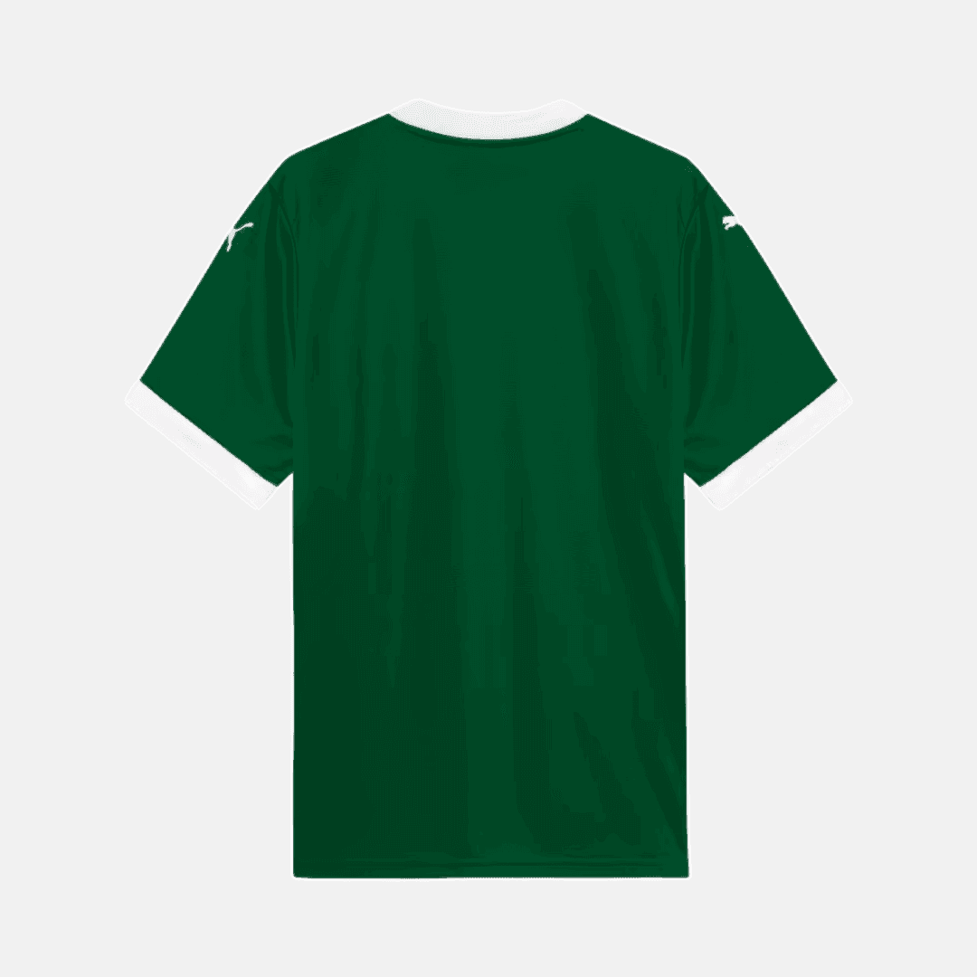 Camisa Puma Palmeiras 2025/26 I - Gómes N° 15