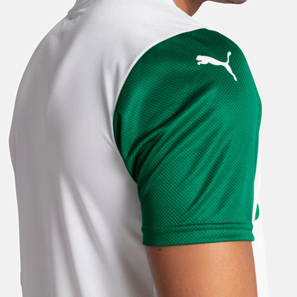 Camisa Puma Palmeiras 2025/26 II Jogador