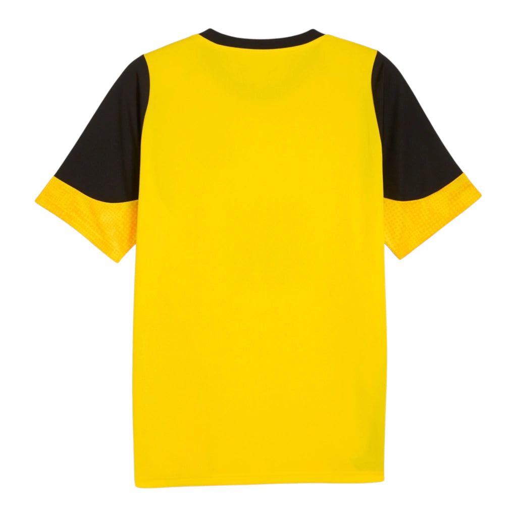 Camisa Borussia Dortmund Treino 25/26 - Torcedor Puma Masculina - Amarela e preta