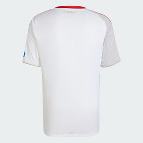 Camisa adidas 1. FC Nürnberg 2025/26 II