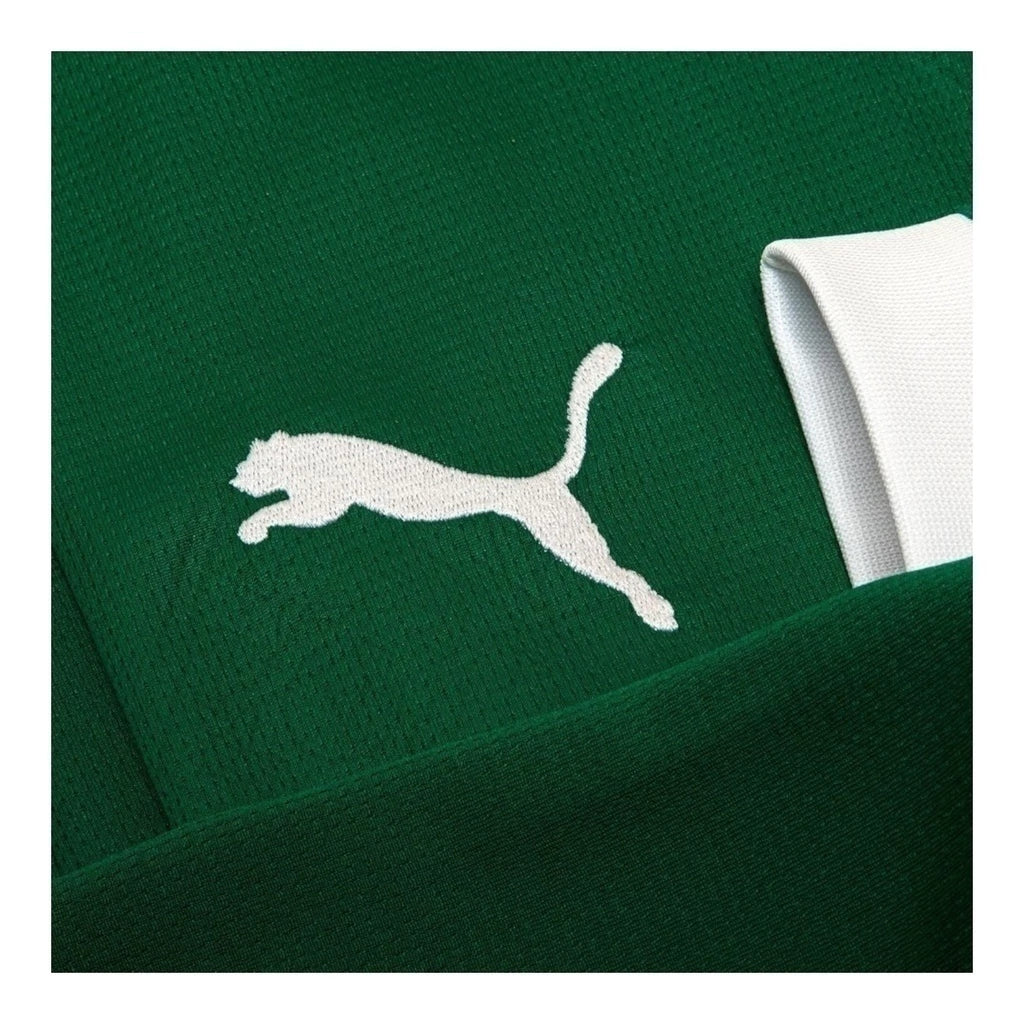Camisa Palmeiras I 25/26 manga longa - Torcedor Puma Masculina - Verde