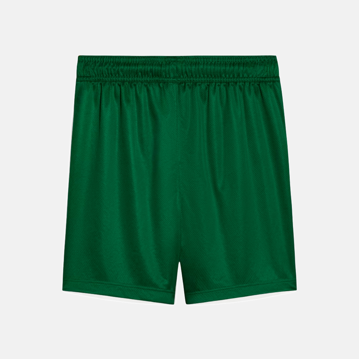 Shorts Palmeiras 2025 II – Torcedor
