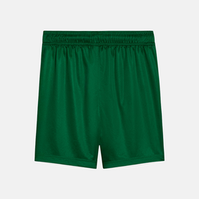 Shorts Palmeiras 2025 II – Torcedor